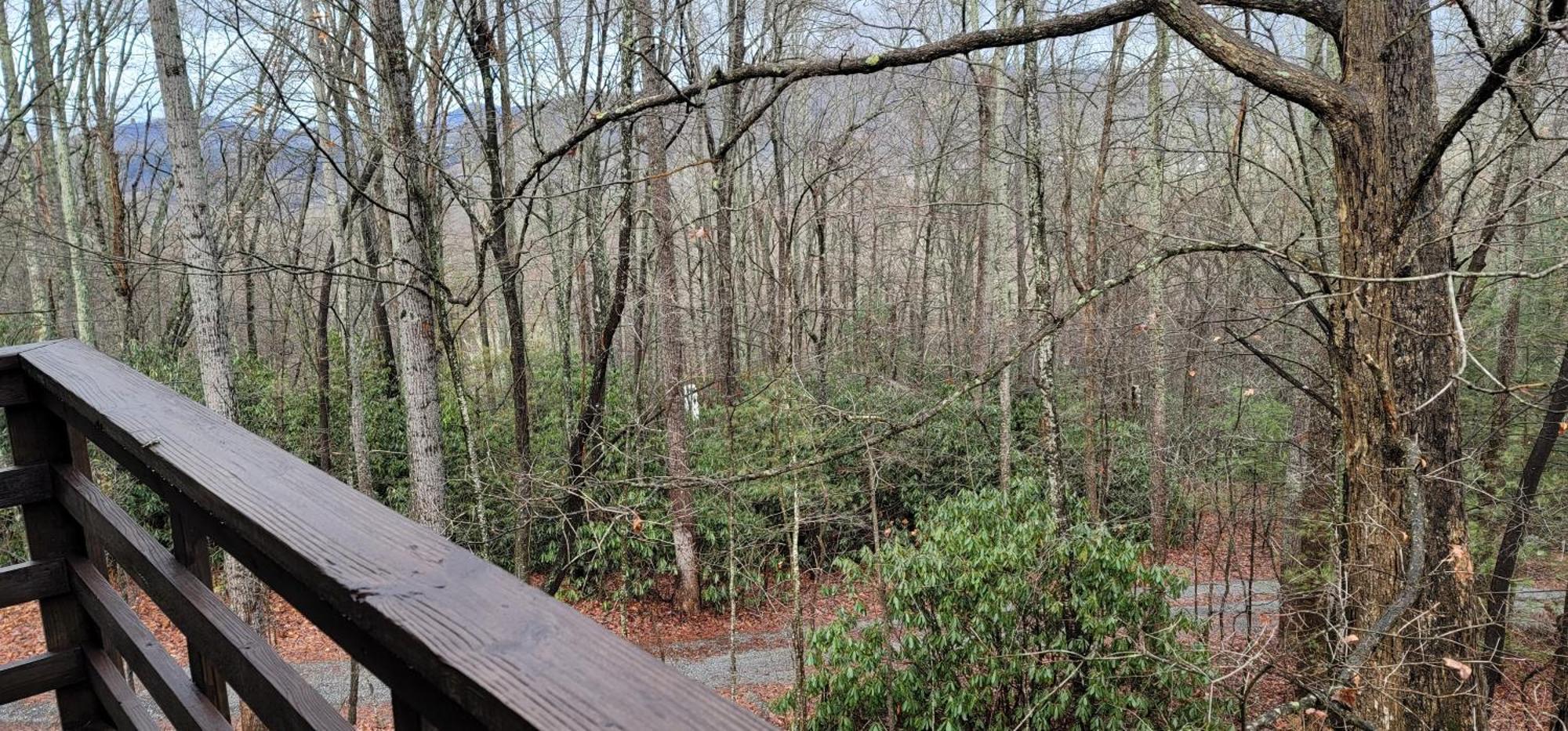 Fletcher Nc Getaway Ngoại thất bức ảnh